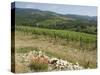 Typical Tuscan View around the Area of Lamole, Near Greve, Chianti, Tuscany, Italy, Europe-Robert Harding-Stretched Canvas