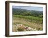 Typical Tuscan View around the Area of Lamole, Near Greve, Chianti, Tuscany, Italy, Europe-Robert Harding-Framed Photographic Print