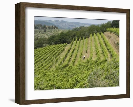 Typical Tuscan View around the Area of Lamole, Near Greve, Chianti, Tuscany, Italy, Europe-Robert Harding-Framed Photographic Print