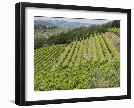 Typical Tuscan View around the Area of Lamole, Near Greve, Chianti, Tuscany, Italy, Europe-Robert Harding-Framed Photographic Print