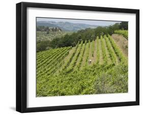 Typical Tuscan View around the Area of Lamole, Near Greve, Chianti, Tuscany, Italy, Europe-Robert Harding-Framed Photographic Print