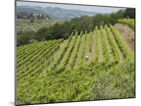 Typical Tuscan View around the Area of Lamole, Near Greve, Chianti, Tuscany, Italy, Europe-Robert Harding-Mounted Photographic Print