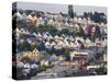 Typical Victorian Houses in San Francisco, California, USA-Gavin Hellier-Stretched Canvas