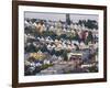 Typical Victorian Houses in San Francisco, California, USA-Gavin Hellier-Framed Photographic Print