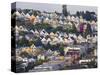 Typical Victorian Houses in San Francisco, California, USA-Gavin Hellier-Stretched Canvas