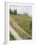 Typical View of the Tuscan Landscape, Le Crete, Tuscany, Italy, Europe-Robert Harding-Framed Photographic Print