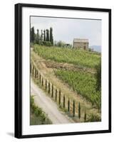 Typical View of the Tuscan Landscape, Le Crete, Tuscany, Italy, Europe-Robert Harding-Framed Photographic Print