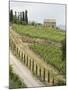 Typical View of the Tuscan Landscape, Le Crete, Tuscany, Italy, Europe-Robert Harding-Mounted Photographic Print