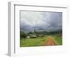 Typical Village in Western Cameroon, Africa-Julia Bayne-Framed Photographic Print