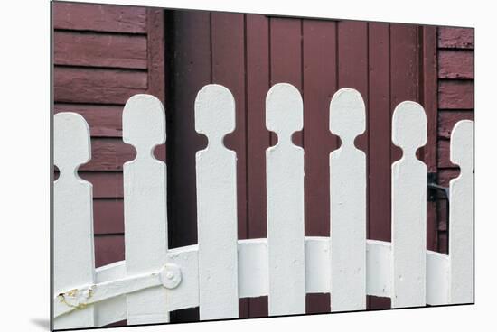 Typical white picket fence, Shaker Village of Pleasant Hill, Harrodsburg, Kentucky-Adam Jones-Mounted Photographic Print