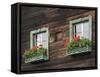 Typical Window Box, Otztal Valley, Tyrol, Austria, Europe-Gary Cook-Framed Stretched Canvas