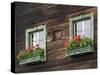 Typical Window Box, Otztal Valley, Tyrol, Austria, Europe-Gary Cook-Stretched Canvas