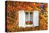 Typical Window Surrounded by Vine in Autumn, Champagne Ardenne, France-Matteo Colombo-Stretched Canvas