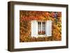 Typical Window Surrounded by Vine in Autumn, Champagne Ardenne, France-Matteo Colombo-Framed Photographic Print