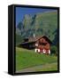 Typical Wooden Chalet with Colourful Shutters, Grindelwald, Bern, Switzerland, Europe-Tomlinson Ruth-Framed Stretched Canvas