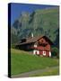 Typical Wooden Chalet with Colourful Shutters, Grindelwald, Bern, Switzerland, Europe-Tomlinson Ruth-Stretched Canvas