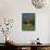 Typical Wooden Chalet with Colourful Shutters, Grindelwald, Bern, Switzerland, Europe-Tomlinson Ruth-Framed Stretched Canvas displayed on a wall