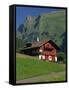 Typical Wooden Chalet with Colourful Shutters, Grindelwald, Bern, Switzerland, Europe-Tomlinson Ruth-Framed Stretched Canvas