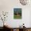 Typical Wooden Chalet with Colourful Shutters, Grindelwald, Bern, Switzerland, Europe-Tomlinson Ruth-Stretched Canvas displayed on a wall