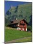 Typical Wooden Chalet with Colourful Shutters, Grindelwald, Bern, Switzerland, Europe-Tomlinson Ruth-Mounted Photographic Print