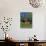 Typical Wooden Chalet with Colourful Shutters, Grindelwald, Bern, Switzerland, Europe-Tomlinson Ruth-Photographic Print displayed on a wall