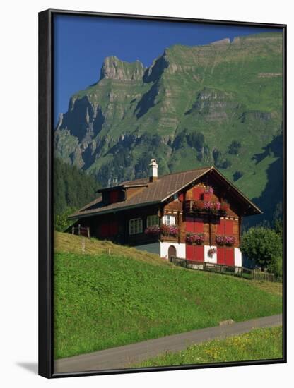 Typical Wooden Chalet with Colourful Shutters, Grindelwald, Bern, Switzerland, Europe-Tomlinson Ruth-Framed Photographic Print