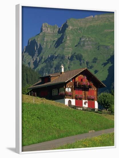 Typical Wooden Chalet with Colourful Shutters, Grindelwald, Bern, Switzerland, Europe-Tomlinson Ruth-Framed Photographic Print