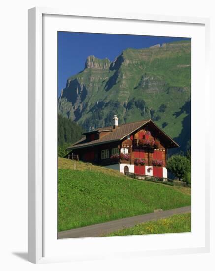 Typical Wooden Chalet with Colourful Shutters, Grindelwald, Bern, Switzerland, Europe-Tomlinson Ruth-Framed Photographic Print