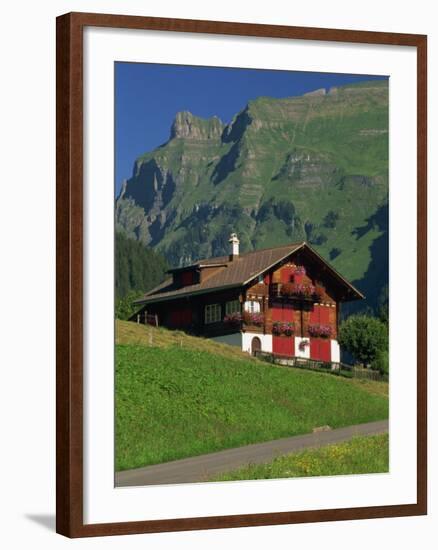 Typical Wooden Chalet with Colourful Shutters, Grindelwald, Bern, Switzerland, Europe-Tomlinson Ruth-Framed Photographic Print