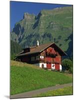 Typical Wooden Chalet with Colourful Shutters, Grindelwald, Bern, Switzerland, Europe-Tomlinson Ruth-Mounted Photographic Print