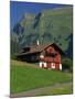 Typical Wooden Chalet with Colourful Shutters, Grindelwald, Bern, Switzerland, Europe-Tomlinson Ruth-Mounted Photographic Print