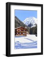 Typical wooden hut framed by woods and snowy peaks, Langwies, district of Plessur, Canton of Graubu-Roberto Moiola-Framed Photographic Print