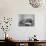 Typical Working Class Living Room Scene with Family, 11 July 1962-Michael Walters-Photographic Print displayed on a wall