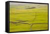 Typical Yorkshire Dales Countryside, Yorkshire, England, United Kingdom, Europe-Julian Elliott-Framed Stretched Canvas