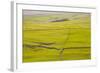 Typical Yorkshire Dales Countryside, Yorkshire, England, United Kingdom, Europe-Julian Elliott-Framed Photographic Print