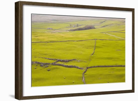 Typical Yorkshire Dales Countryside, Yorkshire, England, United Kingdom, Europe-Julian Elliott-Framed Photographic Print
