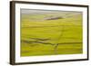 Typical Yorkshire Dales Countryside, Yorkshire, England, United Kingdom, Europe-Julian Elliott-Framed Photographic Print