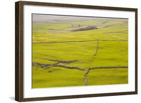 Typical Yorkshire Dales Countryside, Yorkshire, England, United Kingdom, Europe-Julian Elliott-Framed Photographic Print