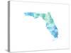 Typographic Florida Cool-CAPow-Stretched Canvas