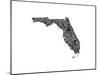 Typographic Florida-CAPow-Mounted Art Print