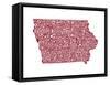 Typographic Iowa Maroon-CAPow-Framed Stretched Canvas