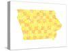 Typographic Iowa Yellow Orange-CAPow-Stretched Canvas