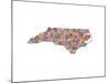 Typographic North Carolina Harvest-CAPow-Mounted Art Print