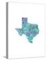 Typographic Texas Cool-CAPow-Stretched Canvas