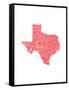 Typographic Texas Red-CAPow-Framed Stretched Canvas