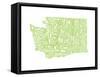 Typographic Washington Green-CAPow-Framed Stretched Canvas