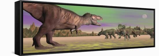 Tyrannosaurus Attacking Styracosaurus Dinosaurs-null-Framed Stretched Canvas