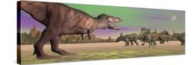 Tyrannosaurus Attacking Styracosaurus Dinosaurs-null-Stretched Canvas