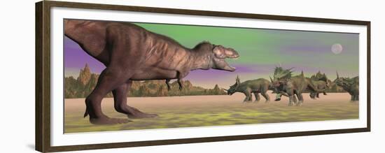 Tyrannosaurus Attacking Styracosaurus Dinosaurs-null-Framed Premium Giclee Print