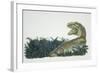 Tyrannosaurus, Jurassic Period-null-Framed Giclee Print